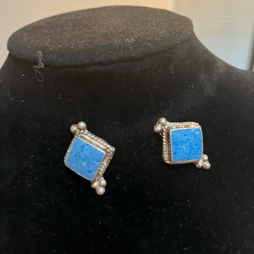 Chic Silver and Blue Square Earrings